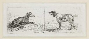 Zwei Hunde