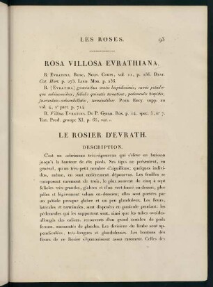 93-94, Rosa Villosa Evrathiana. Le Rosier d'Evrath.