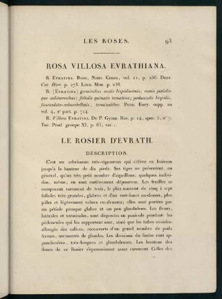 93-94, Rosa Villosa Evrathiana. Le Rosier d'Evrath.