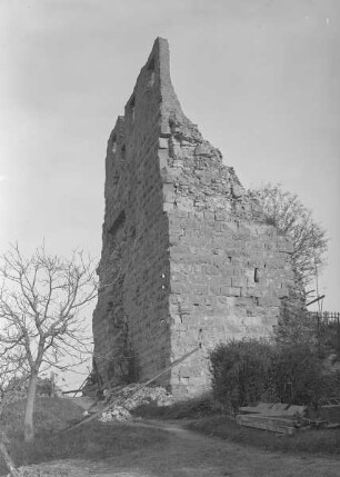 Burgruine Stauf