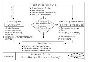 Kriterien für die "kleinräumige Bestandesführung"