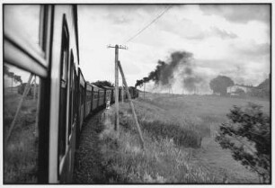 Kühlungsborn. Mecklenburgische Bäderbahn Molli