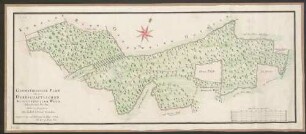 Geometrischer Plan von dem herrschaftlichen Schutterzeller Wald Ichenheimer Forsts