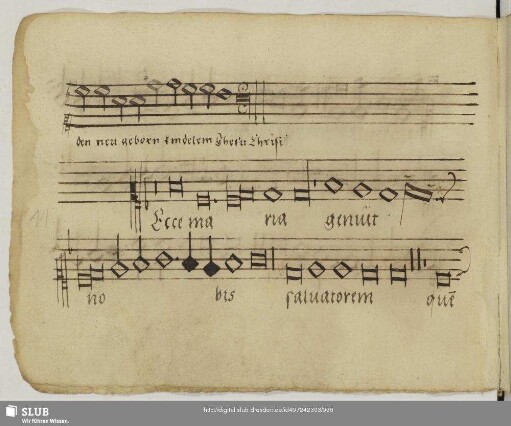 [Anonymus:] Ecce Maria genuit