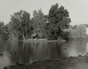 Teich, Kamenz (Kreis Kamenz)