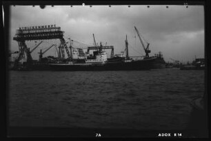 Volumnia (1958), Kirsten.- Adolf Kirsten, Hamburg