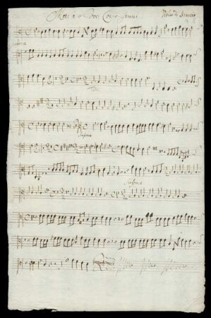 Viola di Braccio (2)