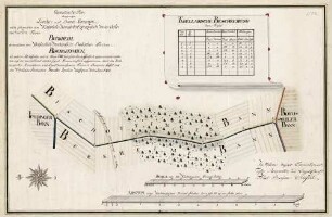 Geometrischer Plan dererjenigen Landes- und Bann-Graenzen, welche sich zwischen dem Kaiserlich Königlich Erzherzoglich Vorder Oestereichischen Flecken Burkheim als eines sodann dem Hochfürstlich-Markgräflich-Badischen Flecken Bischoffingen als anderer Seits befunden ...