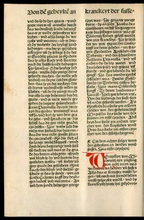 Czu dem achten folget vonn den geheylten an henden unnd fussen.