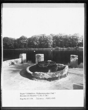 Brunnen mit Muschel