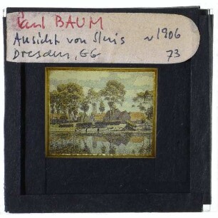 Baum, Ansicht von Sluis