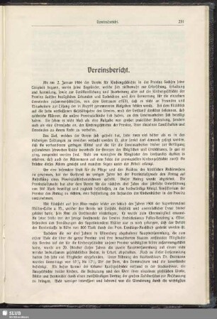 Vereinsbericht