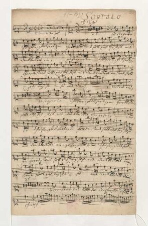 Erwünschtes Freudenlicht; V (3), Coro, orch; BWV 184; BC A 88; BWV 184a; BC G 8