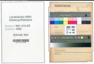 Entnazifizierung Karl Schmidt , geb. 05.02.1895 (Werkmeister)