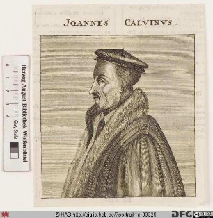 Bildnis Johannes Calvin (eig. Jean Cauvin)