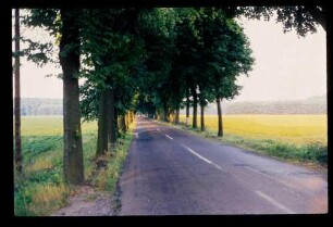 Chaussee Uckermarkt 24.6.83.