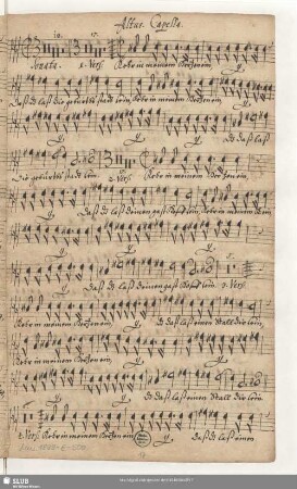 Altus. Capella.