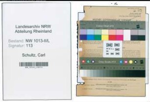 Entnazifizierung Carl Schultz , geb. 17.01.1910 (Rechtsanwalt)