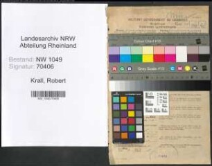 Entnazifizierung Robert Krall , geb. 15.05.1899 (Rentmeister)