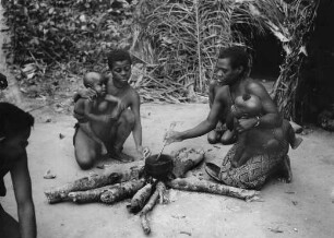 Environs de Ouesso. Femmes Babinga (pygmées) préparant leur repas