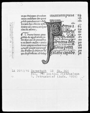 Epistulae canonicae et actus apostolorum cum glossia ordinaria — Initiale P(etrus), Folio 15verso