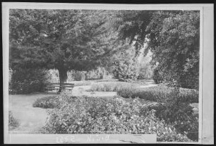 Riverside. City Park, Riverside, Cal.