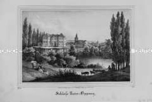 Schloss Unter-Oppurg (Thüringen?)