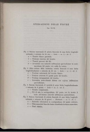 Spiegazione Delle Figure Tav. VI. -VII.