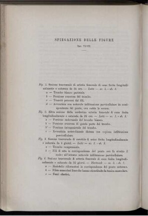 Spiegazione Delle Figure Tav. VI. -VII.