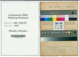 Entnazifizierung Hermann Strauss , geb. 04.09.1898 (Schlosser)