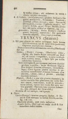 Truncus (Stamm)