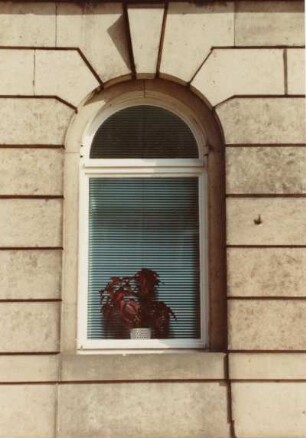 Dresden-Johannstadt, Fetscherstraße 39. Wohnhaus. Detailaufnahmen