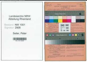 Entnazifizierung Peter Seiler, geb. 11.06.1906 (Direktor)