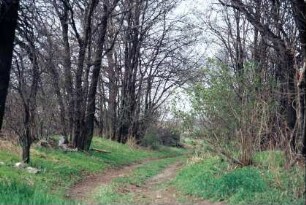 Weg aus dem ehemaligen Dorf, das im Dreißigjährigen Krieg zerstört wurde