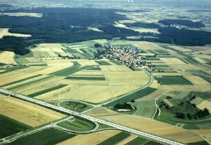 AS Niederstotzingen, Bepflanzung, Flurbereinigung Im Hintergrund Bissingen, rechts der BAB Rückhaltebecken