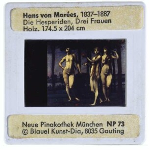 Marées, Die Hesperiden