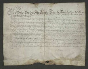 1783 Juli 16. Gräf. lipp. Lehnsbrief für Kleinsorge auf Spiegelberg.
