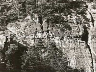 Weser-Leine-Bergland. Der Ith. Wackelstein bei Coppenbrügge. Sandsteinverwitterung