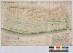Geometrischer Grundriss über die löwensteinische Kloster Neustadter Ackerfelder auf der Seite des Dorfs Erlach