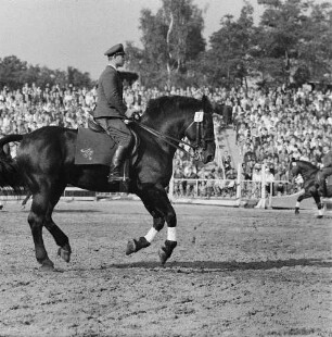 Moritzburger Hengstparade. Reiter in Uniform beim Vorführen verschiedener Gangarten