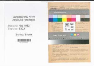 Entnazifizierung Bruno Schulz , geb. 02.07.1905 (Buchhalter)
