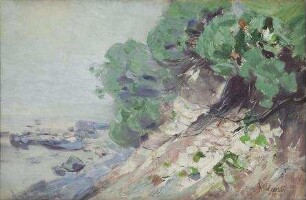 Sommermorgen an der Ostseeküste bei Lohme