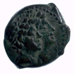 Münze, ca. 203 - 89 v. Chr.