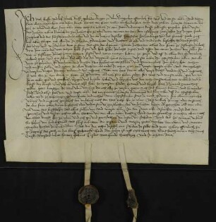 Die Gebrüder und Ulmer Bürger Eitel ("Ytal") und Ulrich Krafft verkaufen dem Ulmer Bürger Johann Kunemann 3 Jauchert Äcker in Ulm vor dem Neutor [abgegangen, östlich Olgastraße 80] unterhalb des Eselsberg. Von diesen Äckern steht dem Klarissenkloster Söflingen ("Seflingen") [Stadt Ulm] eine jährliche Gült zu. Dafür haben sie von dem Käufer 29 rheinische Gulden erhalten.