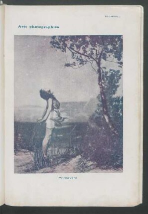 Arte fotográfica : Primavera