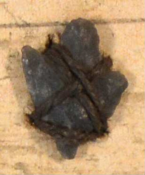 Stone arrowhead