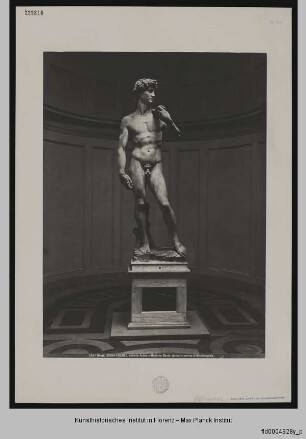 David