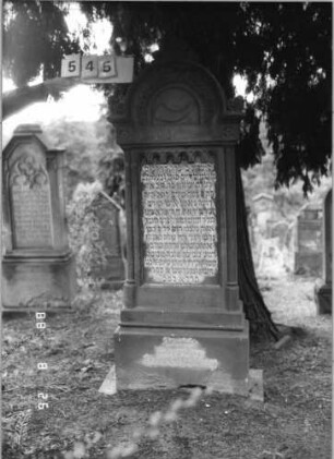 Grabstein 545 (Index: 100095129) Maße HxBxT: 170x52x23 cm Symbolik: Schofar Besonderheit: kulturhistorisch wertvoll / hist.-wiss. Gründe (Gemeindestellung): Grabstein 545