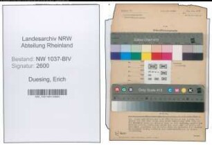 Entnazifizierung Erich Duesing , geb. 04.09.1909 (Schuhwarenhaendler)