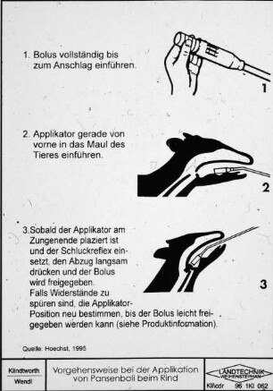 Vorgehensweise bei der Applikation von Pansenboli beim Rind